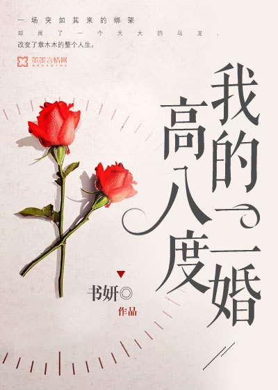 现代言情 我的二婚高八度 书妍著 完结签约vip婚恋都市甜宠 435433字