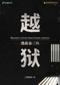 越狱:逃离金三角小说最新章节,越狱:逃离金三角,无弹窗全文阅读-锦文