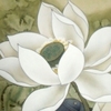 烬迹