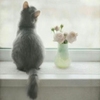 so2