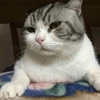 tiras