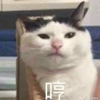 墨凡