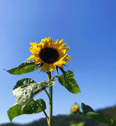 盛宠王妃小说最新章节,盛宠王妃无弹窗全文阅