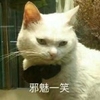 猫想吃鱼啦啦啦啦