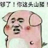 小阿羽