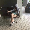 书友155478d7c82