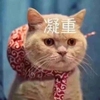 山猪大人