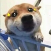书友b0343101b2e