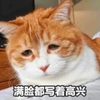 咸豆豆
