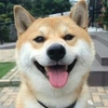 wx书友9ad4bea