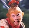 软萌小柠檬