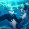 我不是柚子