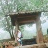 wx书友8783882