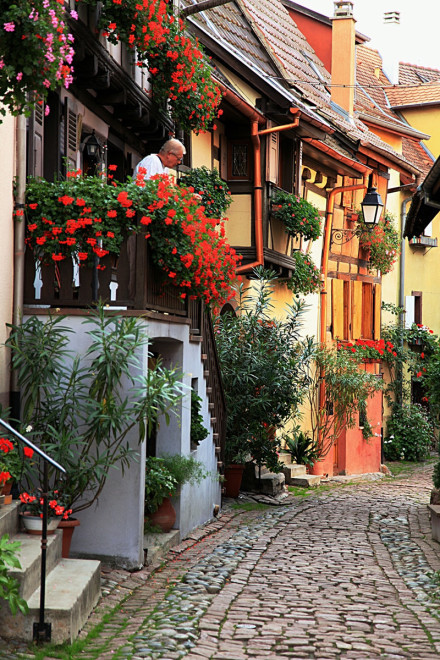 【法國最美小鎮eguisheim】_逸雲書院